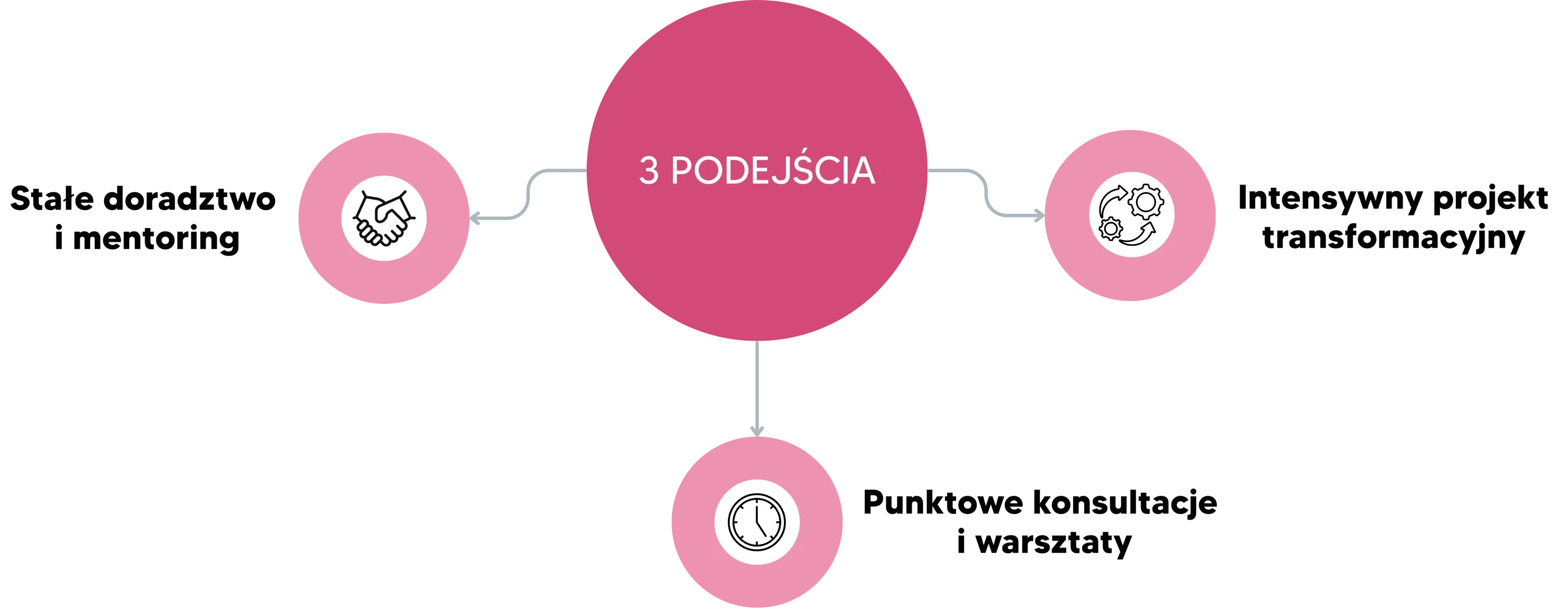 Schemat przedstawiający "3 podejścia" do współpracy: Stałe doradztwo i mentoring, Intensywny projekt transformacyjny oraz Punktowe konsultacje i warsztaty.