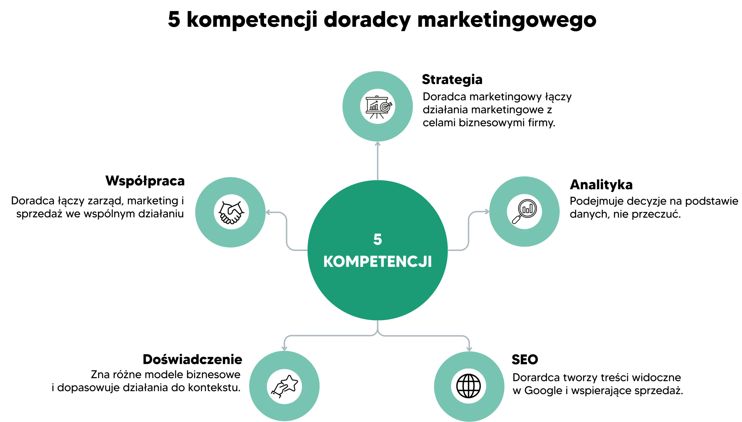 Schemat przedstawiajacy 5 kompetencji doradcy marketingowego. Wokol centralnego punktu "5 KOMPETENCJI" rozmieszczone sa: 1. Strategia (Doradca marketingowy laczy dzialania marketingowe z celami biznesowymi firmy), 2. Analityka (Podejmuje decyzje na podstawie danych, nie przeczuc), 3. SEO (Doradca tworzy tresci widoczne w Google i wspierajace sprzedaz), 4. Doswiadczenie (Zna rozne modele biznesowe i dopasowuje dzialania do kontekstu), 5. Wspolpraca (Doradca laczy zarzad, marketing i sprzedaz we wspolnym dzialaniu).